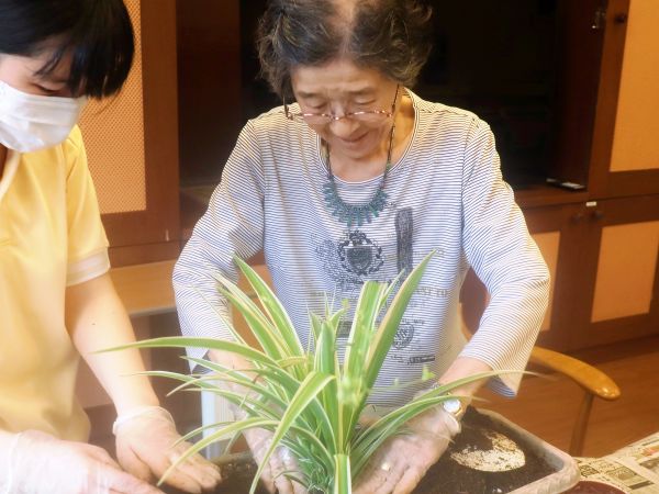 ウッドデッキのプランターにお花を植えました