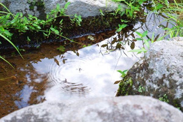 梅雨の合間に