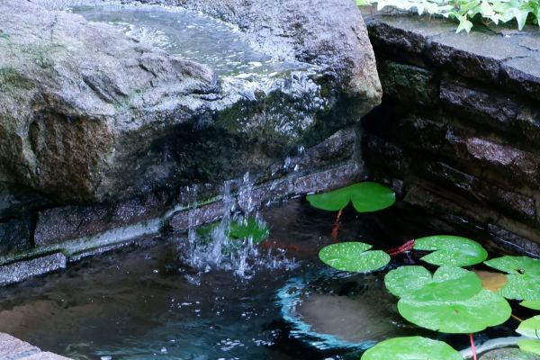 エントランスの水と緑あふれる空間