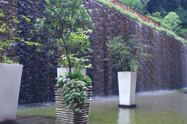 雨に濡れた緑あふれるヒルデモア世田谷岡本をご紹介します