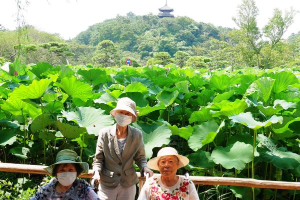 三溪園を散策しました