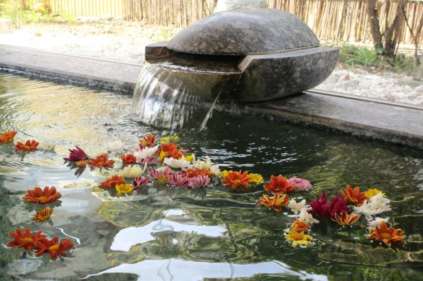 ヒルデモア信州白雲館自慢の菊湯