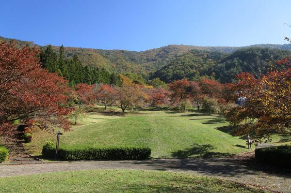 紅葉見学