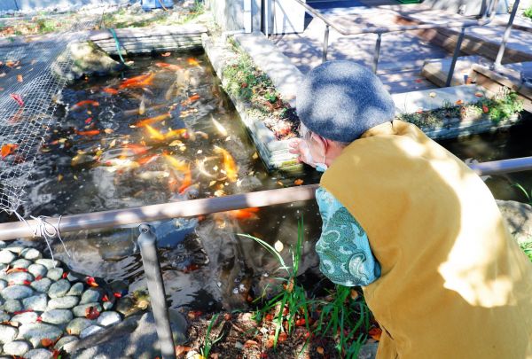 秋のお散歩「庭園」