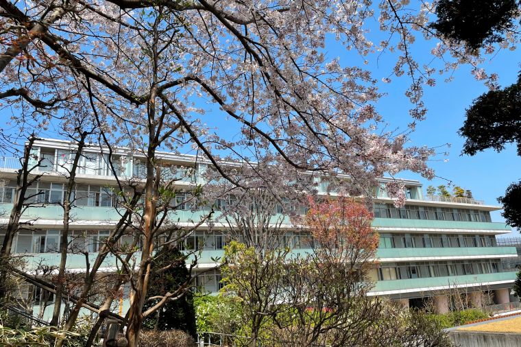 春のうららかな日のお花見