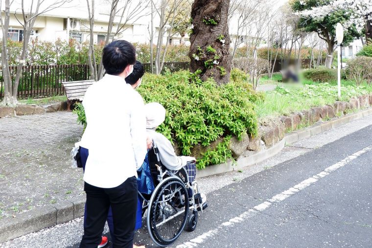 近所の満開の桜を見ながらお散歩