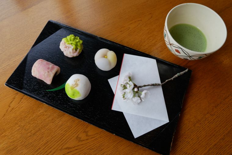 満開の桜とともに春のお茶会