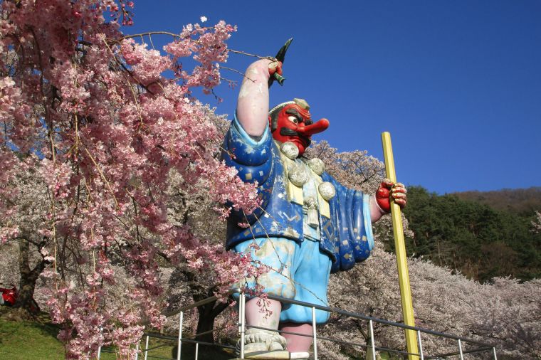 信州も桜が満開です！