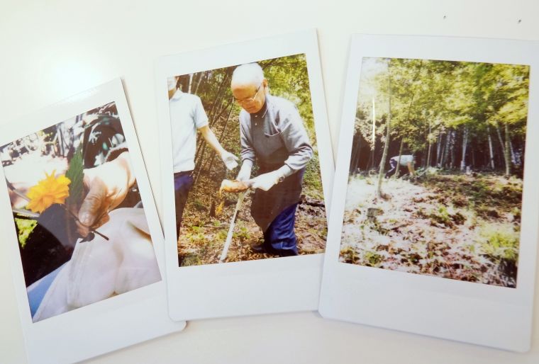 インスタントカメラでは、フィルムらしい味のある写真を撮ることができました。 