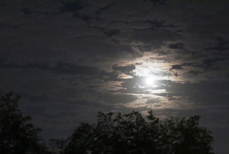 待った甲斐もあり、きれいな満月を見る事が出来ました！ 