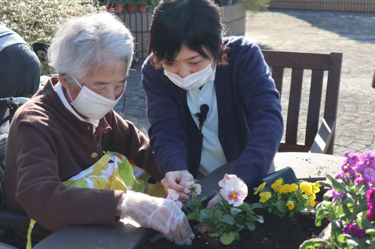 秋の園芸