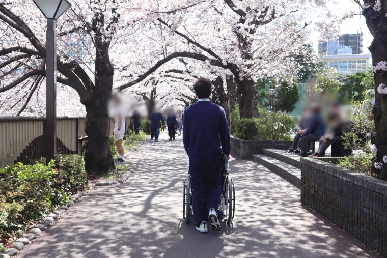 桜並木の下をゆっくりとお散歩。