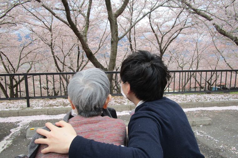 散ってしまう桜を惜しみながら、桜吹雪の絶景を楽しんでいただきました。