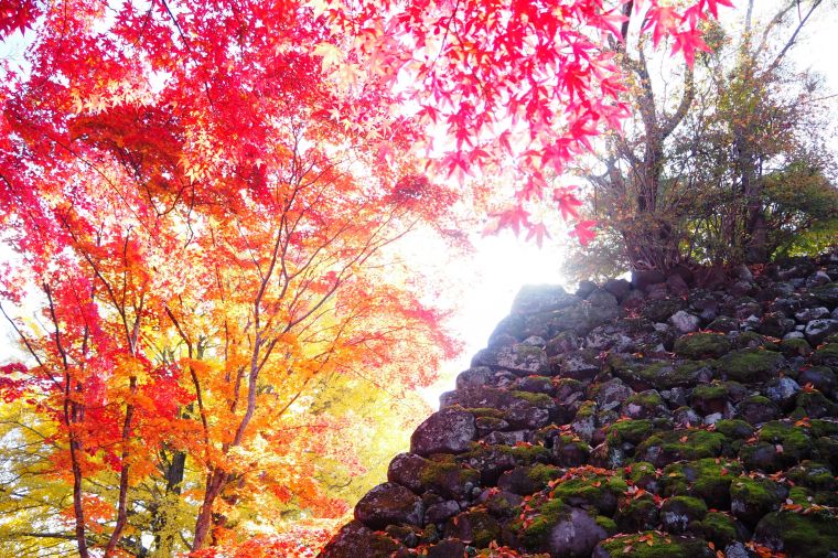 晴天に恵まれ、歴史ある秋の古城に様々な色合いを楽しませていただきました。 