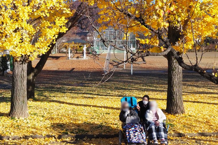 中央公園では銀杏が鮮やかな黄色の絨毯でお出迎え。周囲にはギンナン拾いを楽しむ方々もいらっしゃいました。 