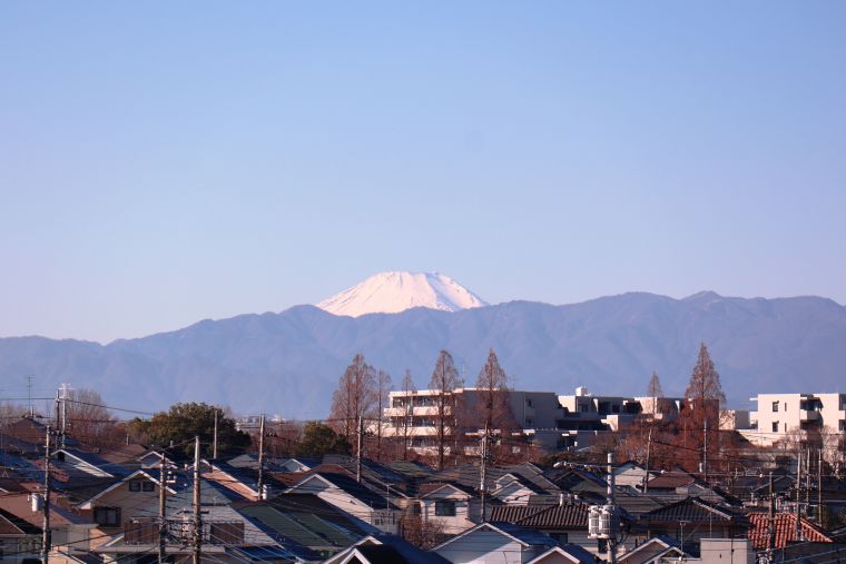 元旦の朝～冬日和～