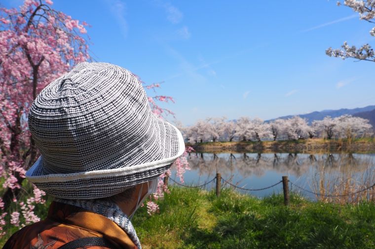 治田公園は治田池を中心とした公園で、池の周囲に桜が植えられています。水面に満開の桜が映り、ご入居者皆様も見とれていらっしゃいました。