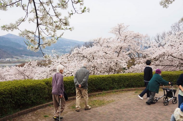 満開の桜と千曲川～姨捨方面の風景をゆっくり散歩しながら楽しみました。