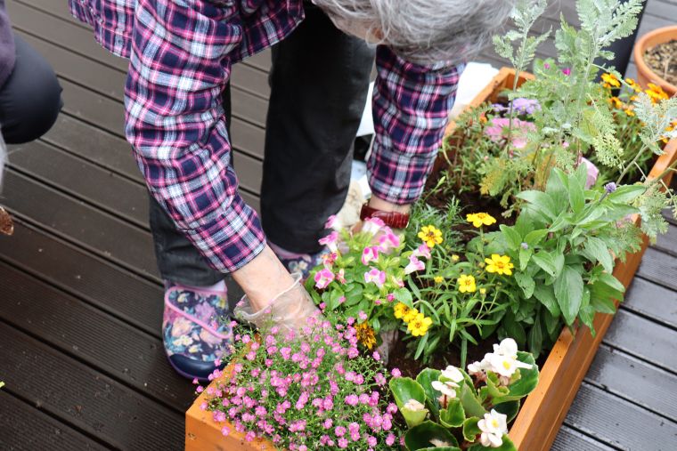 「楽しいわねぇ～」と雨の雫が残る花苗を、バランスを考え、手際よく植えこんでくださいました♪