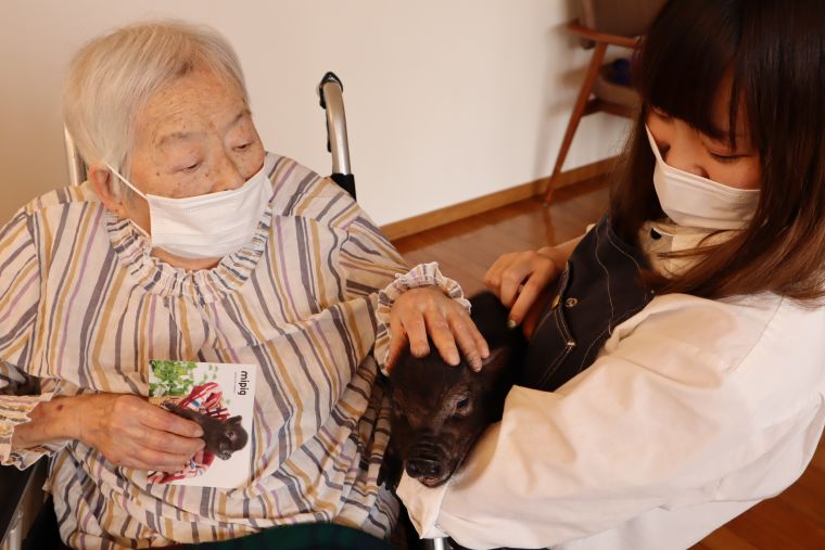 優しく頭を撫でられ、気持ちよさそうなブタさんです。