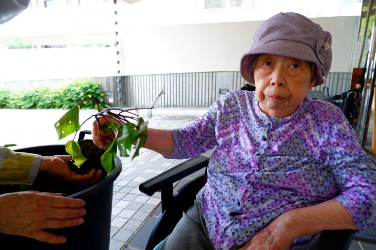 植え替えと収穫（前編）