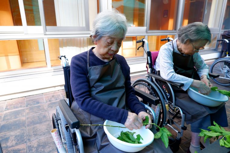 藍の生葉染め（前編）