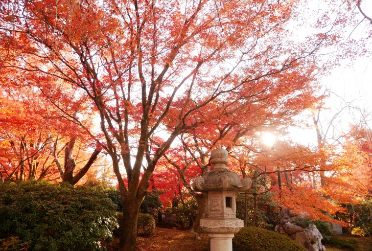 京都の秋