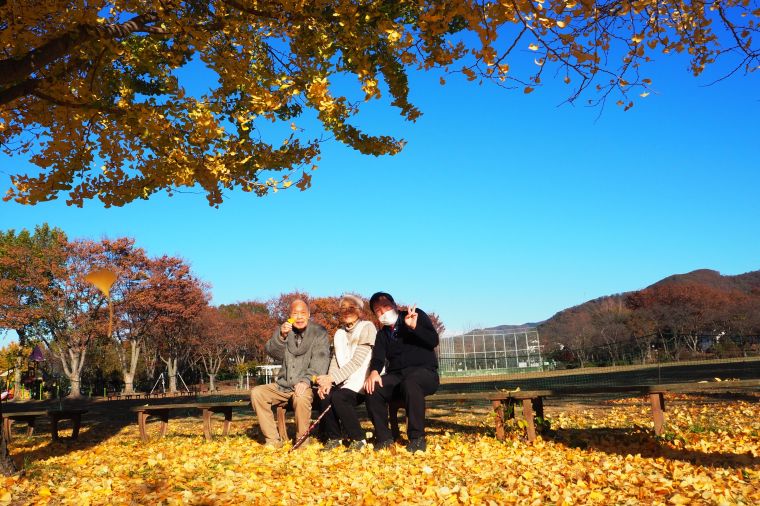 銀杏が映える紅葉狩り