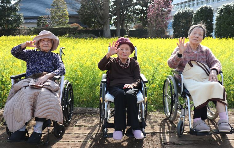 菜の花ドライブ