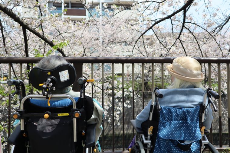 外出の時はいつもワクワクしますが、その中でも、お天気に恵まれた空の下での花見は特別に感じます。