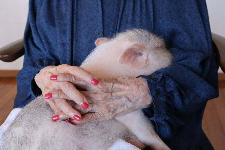 動物は素直だから、優しい心の持ち主に抱っこされると、安心して眠ってしまうみたいです。