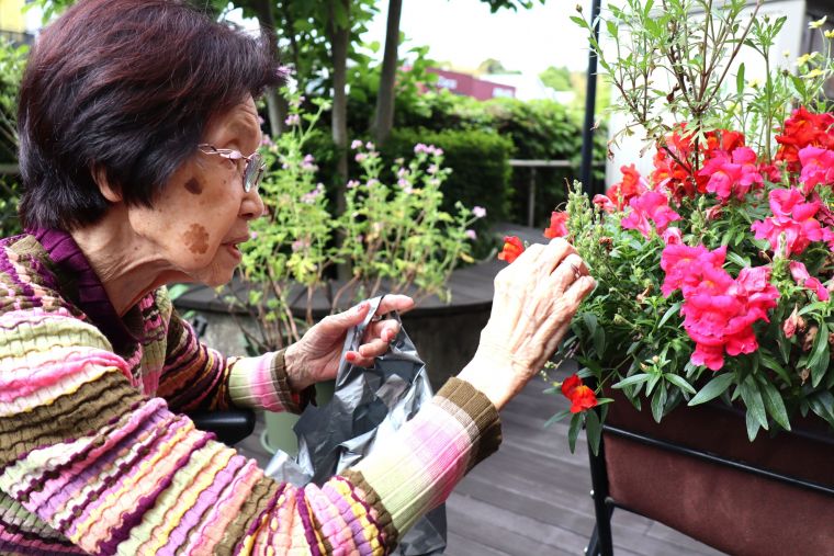 ウッドデッキの花々