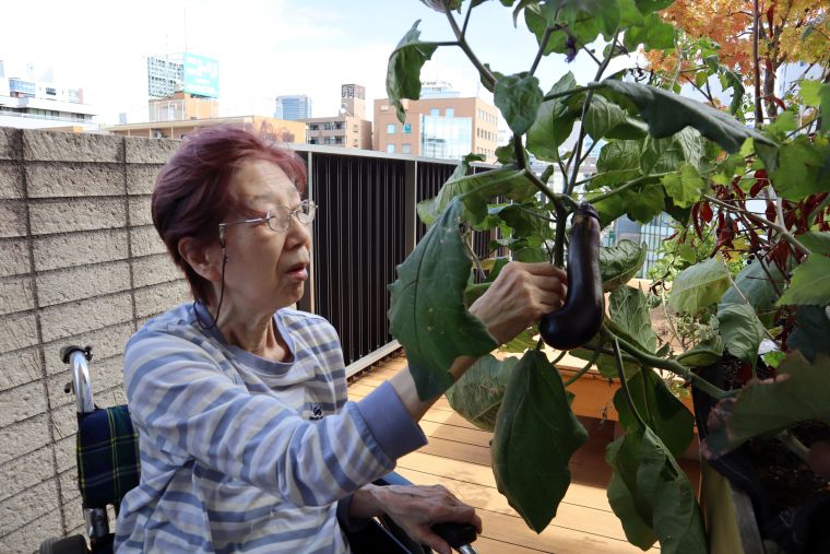立派なナスが実りました