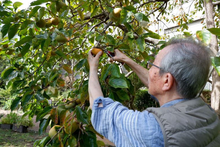 １０月のご様子