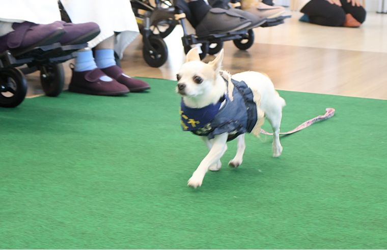 心ほぐれる時間