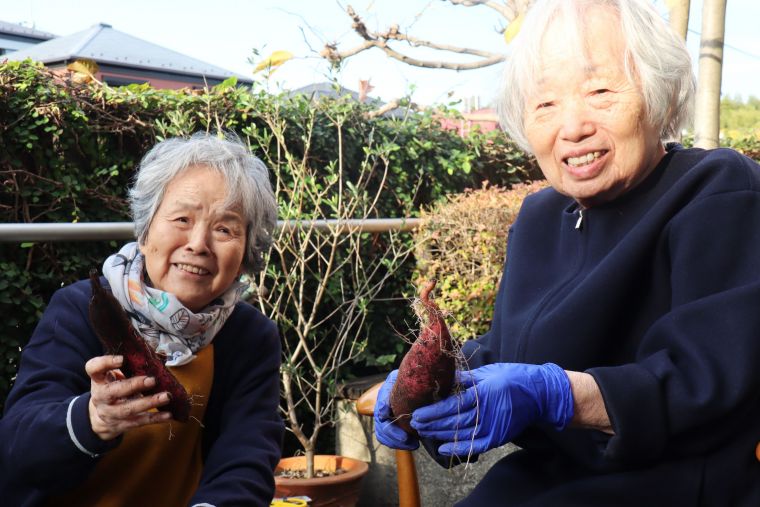 秋の寄せ植えと収穫祭