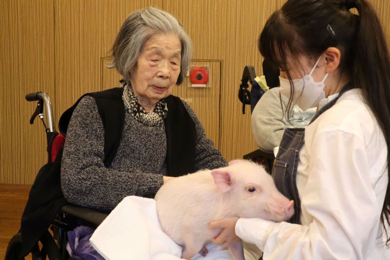 小さなブタさんに癒されます