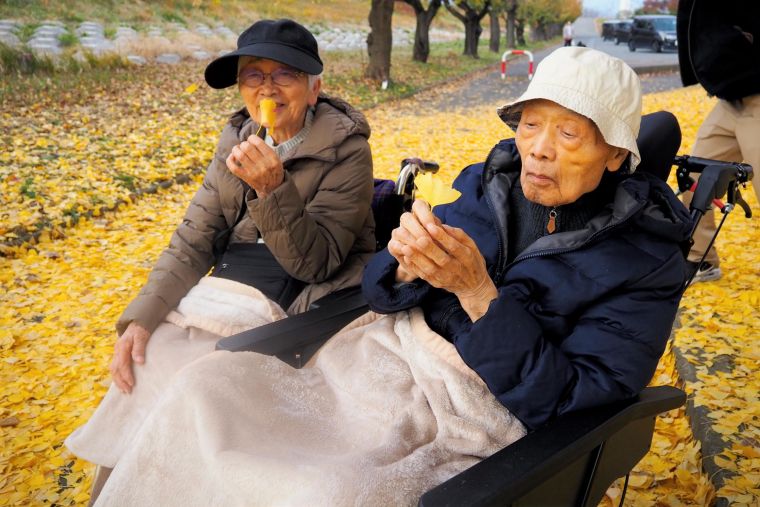 黄色い絨毯の上で記念写真。銀杏の葉を一枚お土産にお持ち帰りされていました。