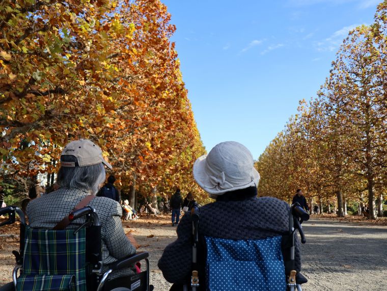 紅葉狩りツアー