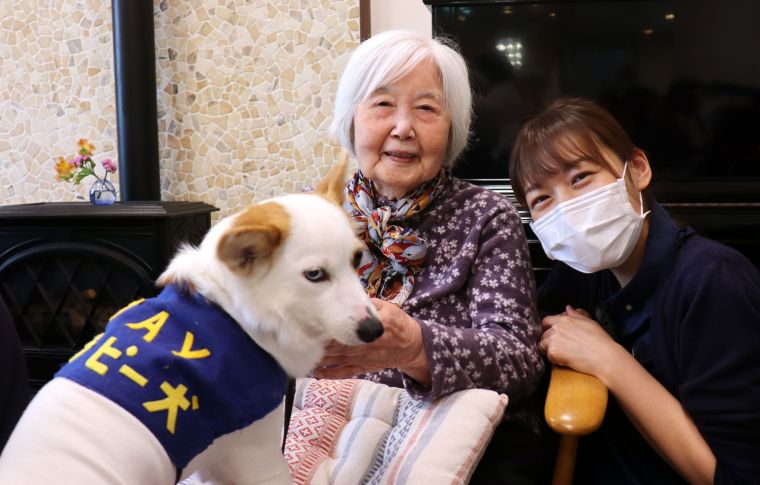 癒しのドッグセラピー