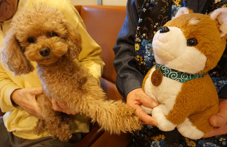 仲良くしようね♪