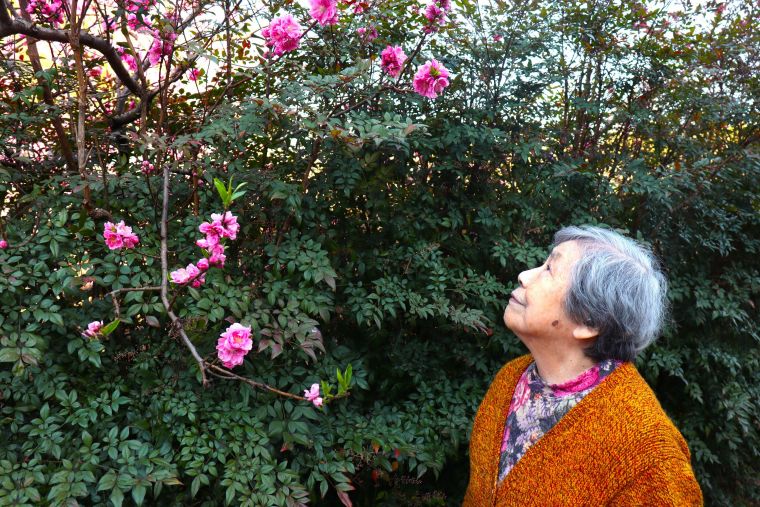 桃の花と青空を見上げながら思いっきり深呼吸！気持ちいいですね💕