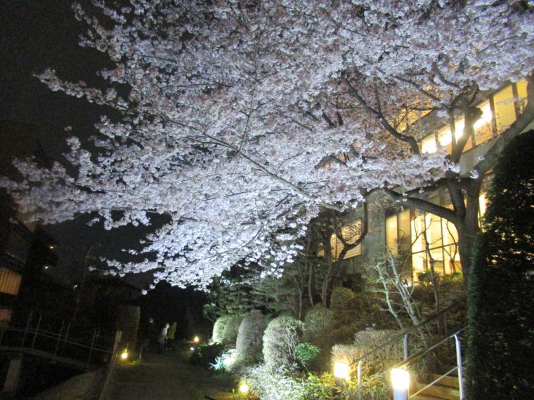 夜にはライトアップも。