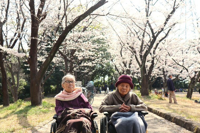 お花見ドライブ🌸