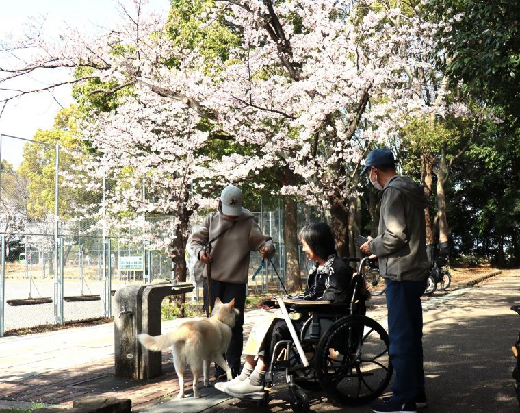 公園ではご家族と一緒に散歩中のワンちゃんとの触れ合いも楽しめました🐶
