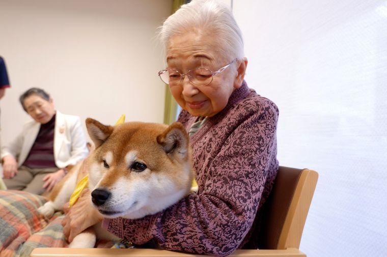 温かい交流で癒しの時間