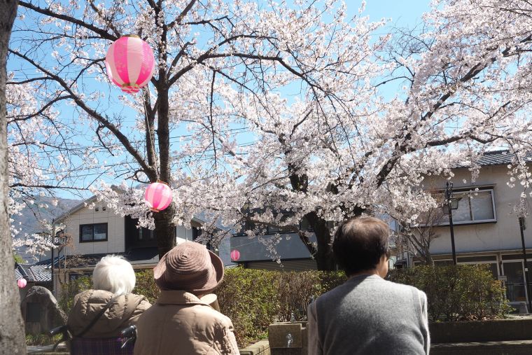 満開の桜を楽しみながらのお茶タイム。自然と会話も弾みます。