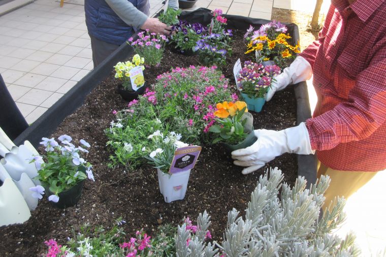 土の感触を楽しむお花植え