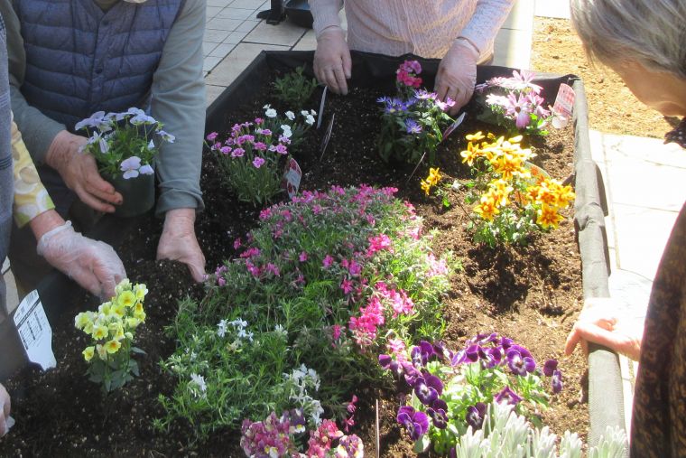 ご入居者の皆様同士で『この花はここが良いかな』『その色はここがいいんじゃない？』と相談しながら植えてくださいました。