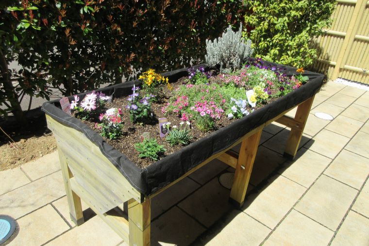 全部植え終わった花壇は可愛い様々な花たちが咲き誇っています。